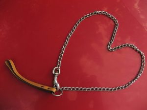 Heart-Pet-leash-Charlotte-Divorce-Lawyer-300x225