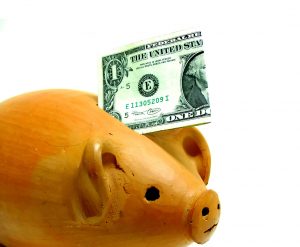 piggy-bank-dollar-Charlotte-Monroe-Mooresville-Child-Support-Modification-Attorney-300x247