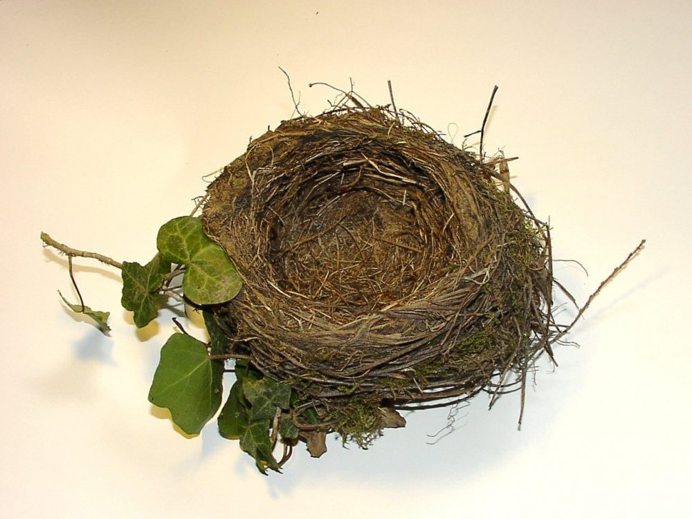 Nesting Custody Arrangement What is it and What are the Benefits