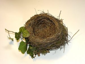 blackbirds-nest-Charlotte-Monroe-Lake-Norman-Child-Custody-Lawyers-300x225