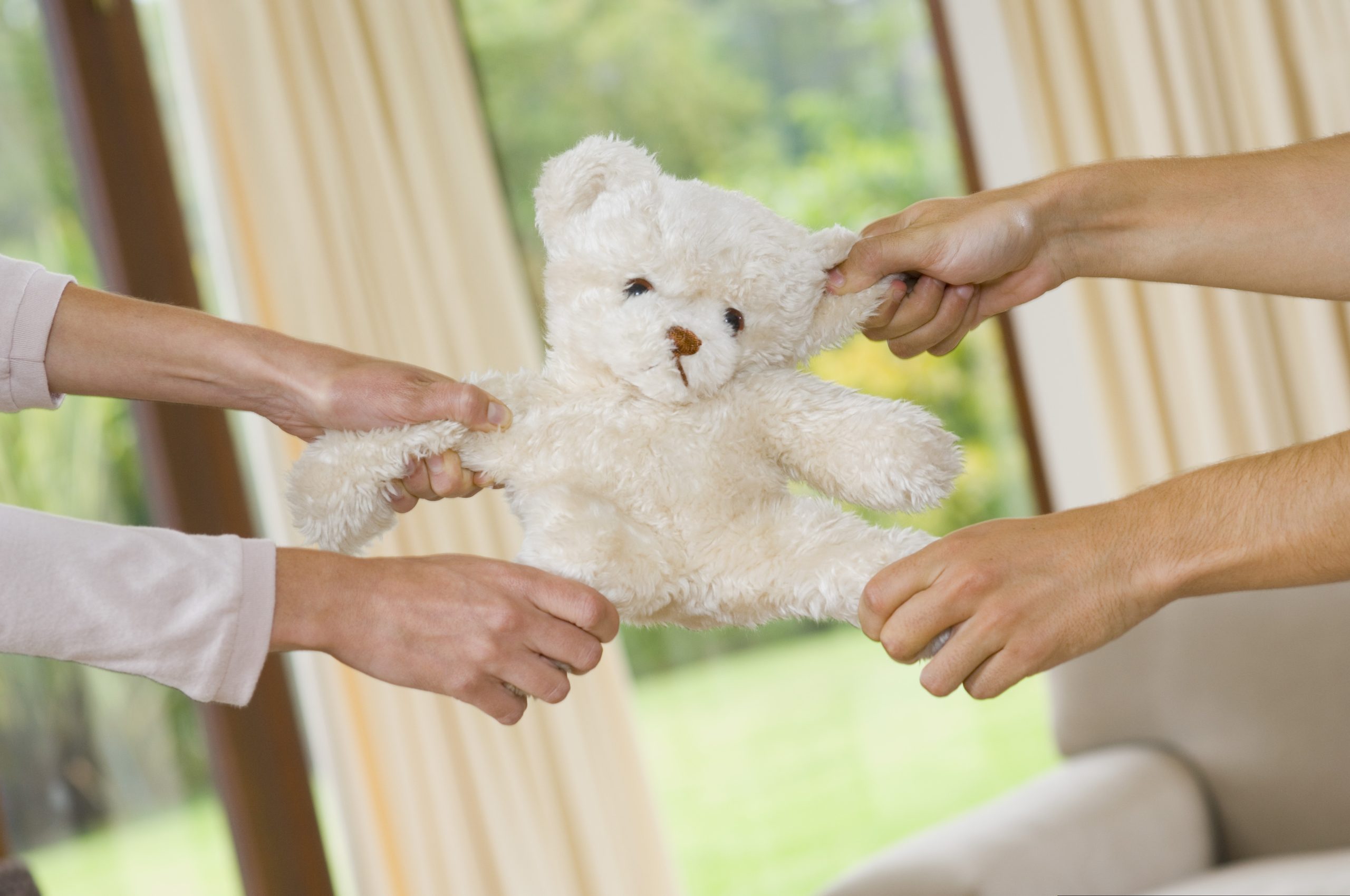 hands-pulling-teddy-bear-1893150-scaled